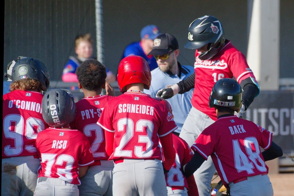 Drei Homeruns sahen die Zuschauer des Spiels Hamburg Stealers gegen Main-Taunus Redwings. (Foto: Iris Drobny)